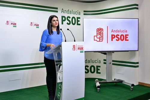 El negro panorama de la sanidad en Almería según el PSOE