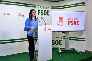 El negro panorama de la sanidad en Almería según el PSOE