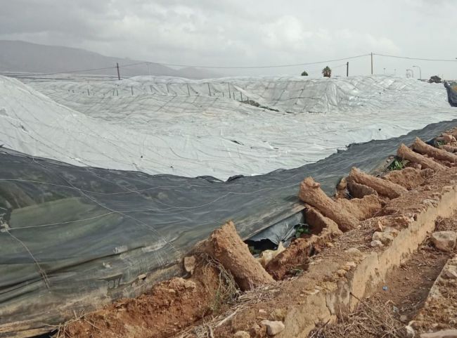 ¿Qué supone 'zona gravemente afectada' por la DANA?