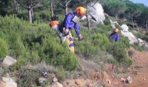 13,2 millones de euros para la mejora de caminos forestales