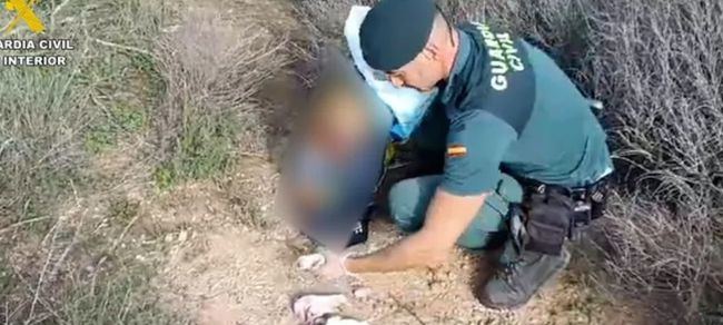 Investigado por maltrato animal tras abandonar seis cachorros en Almería