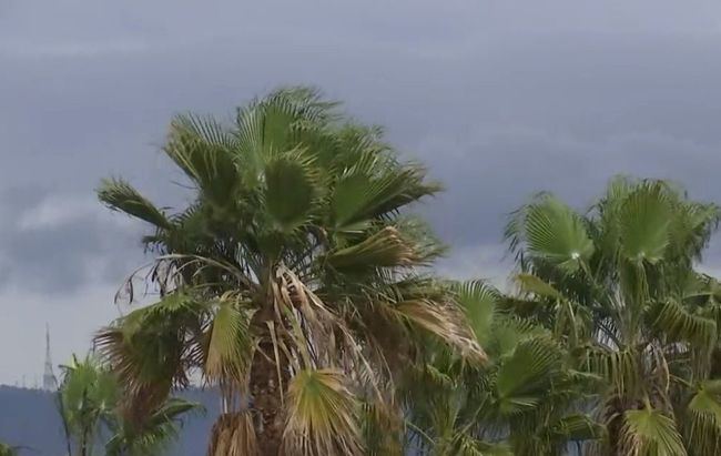 Vientos de hasta 150 km/h azotan Almería