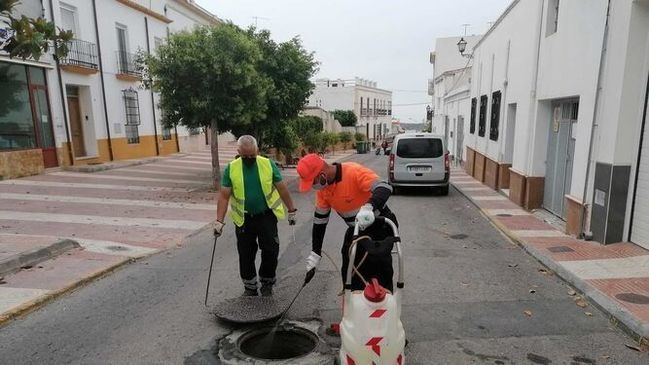 Dalías licita mejoras en cinco calles con un presupuesto de 100.000 euros