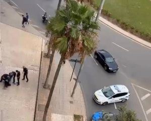 Descenso generalizado de la criminalidad en Almería