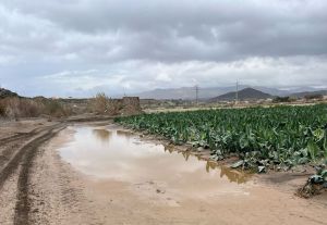 Lluvias en Almería: Beneficios y daños agrícolas