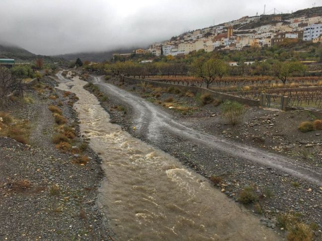 Lluvias causan pérdidas en hortalizas y cereales