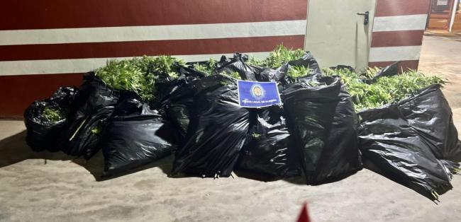 Persecución de película por El Puche para incautar 8 kilos de marihuana