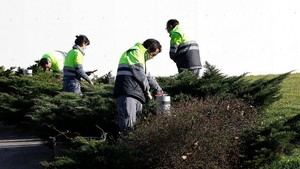 Aumento del coste laboral del 3,6% en 2024 frente a un crecimiento salarial del 3,5%