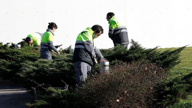 Aumento del coste laboral del 3,6% en 2024 frente a un crecimiento salarial del 3,5%