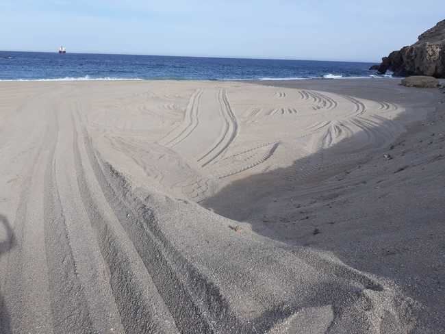 El PSOE rechaza el destrozo ambiental y paisajístico del Ayuntamiento en la cala de El Corral