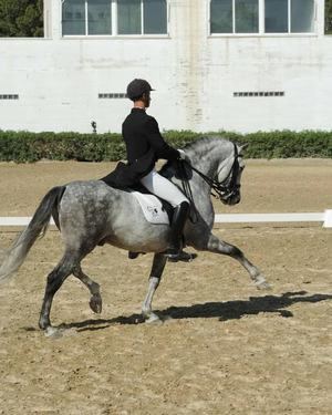 El Club Hípico Santa María del Águila obtiene muy buenos resultados en el Concurso de la Liga Provincial