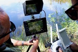 Drones para el seguimiento de aves acuáticas en los humedales almerienses