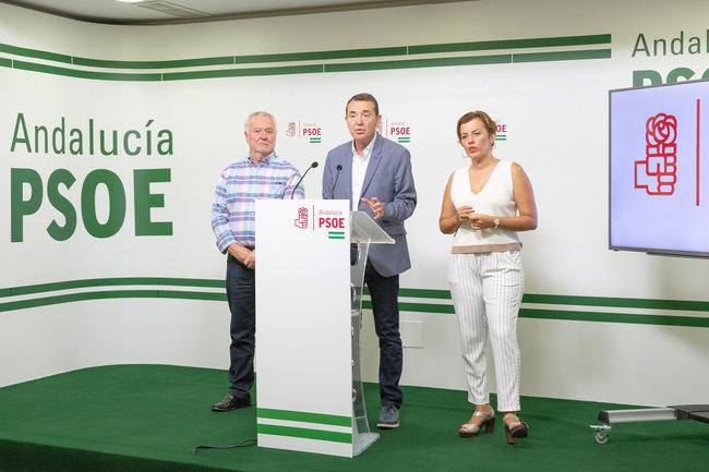 El PSOE pide explicaciones a PP, Cs y Podemos por provocar que Almería pierda 30 millones para servicios públicos