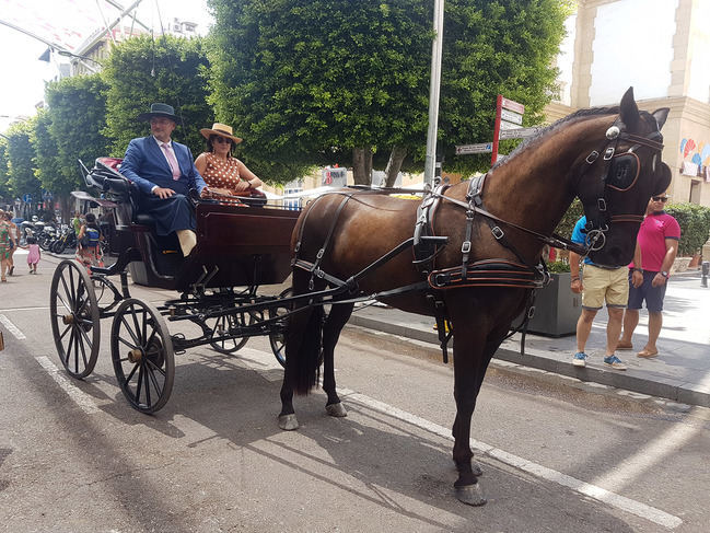 El Paseo de Caballos cierra con una llamativa comitiva de carruajes de tradición