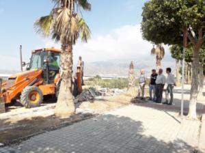 El nuevo servicio de limpieza de El Ejido intensifica el adecentamiento en solares municipales