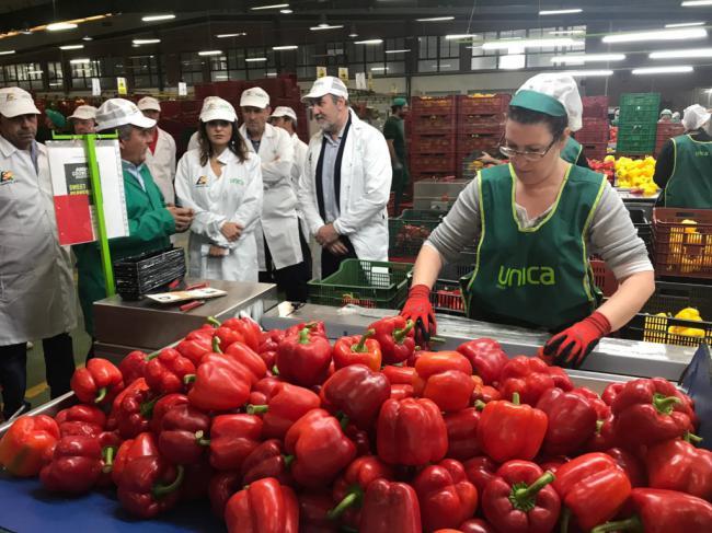 La secretaria general de Fondos Europeos Agrarios visita varias empresas hortofrutícolas de Almería