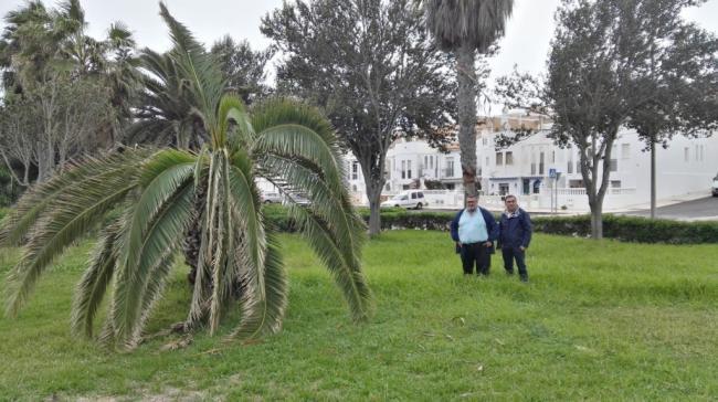 El PSOE de Roquetas denuncia el “absoluto abandono” de las zonas verdes