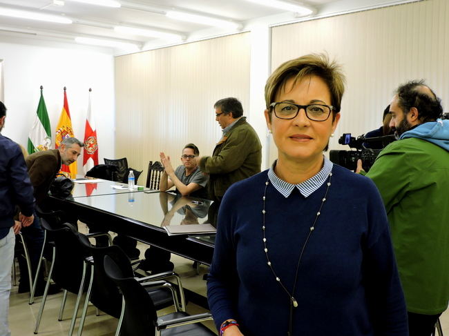 El PSOE califca el Consejo Sectorial e Comercio como “paripé”