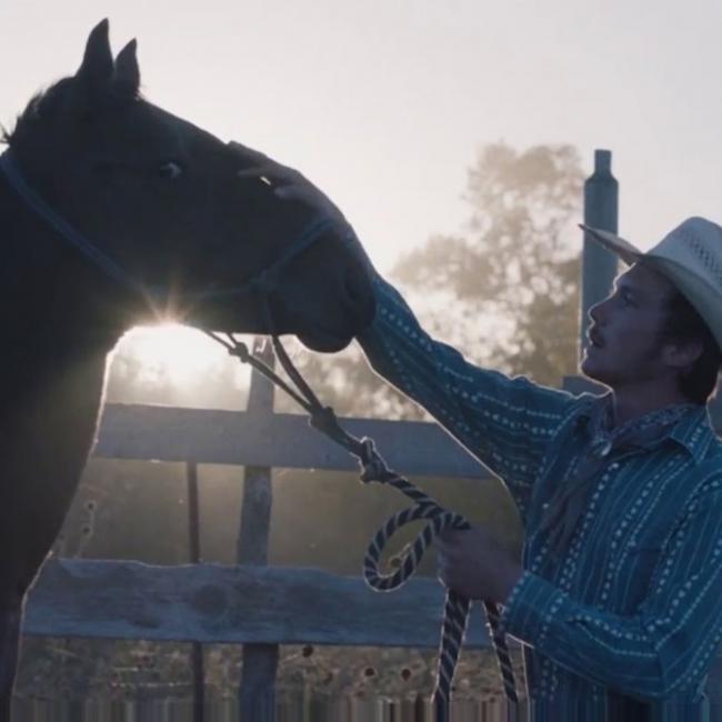 Cineclub Almería regresa al Teatro Apolo este jueves, con la película ‘The Rider’