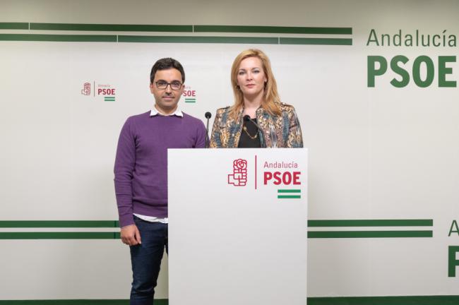 El PSOE de Adra y Plataforma concurrirán juntos a las municipales