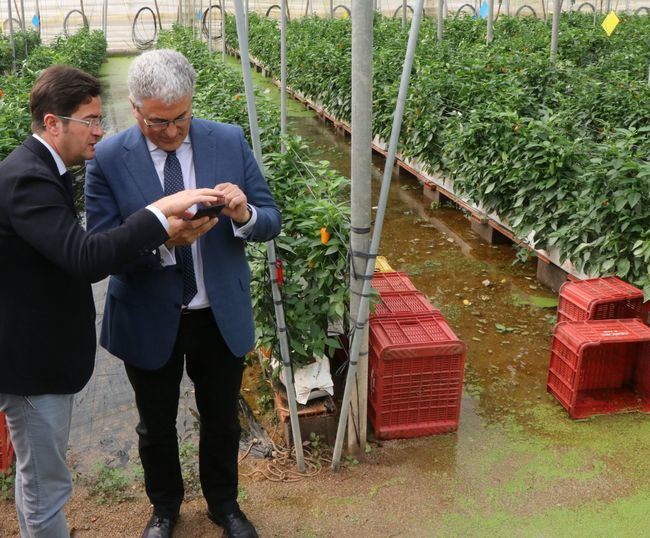 El alcalde y la Junta visitan los invernaderos de la Cañada de Onáyar