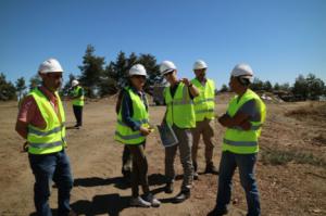 Trabajos selvícolas y aprovechamientos forestales en la Sierra de los Filabres