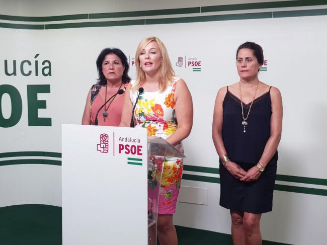 El PSOE exige al PP un plan de choque contra la lista de espera en Dependencia