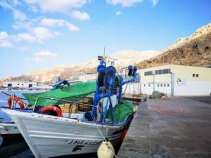 Se licita la segunda fase de las obras para el Centro de Segunda Venta de Pescado