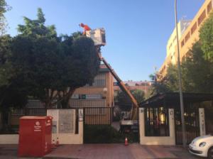 DUE acomete obras de mantenimiento de los centros escolares de El Ejido