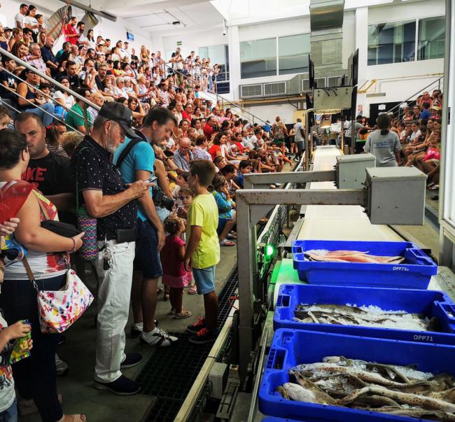 Éxito de público en la II Jornada de Puertas Abiertas de la lonja pesquera