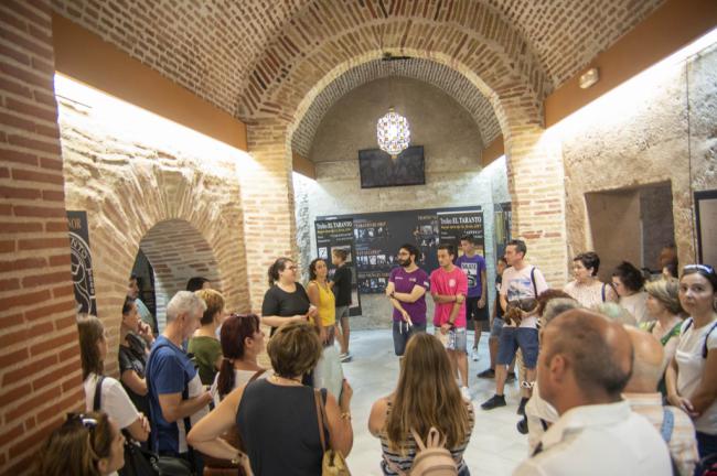 Más de 50 turistas disfrutan a vista de pájaro de una visita guiada