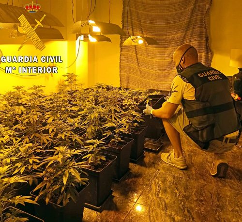 La Guardia Civil intervine en Garrucha un cultivo indoor de marihuana