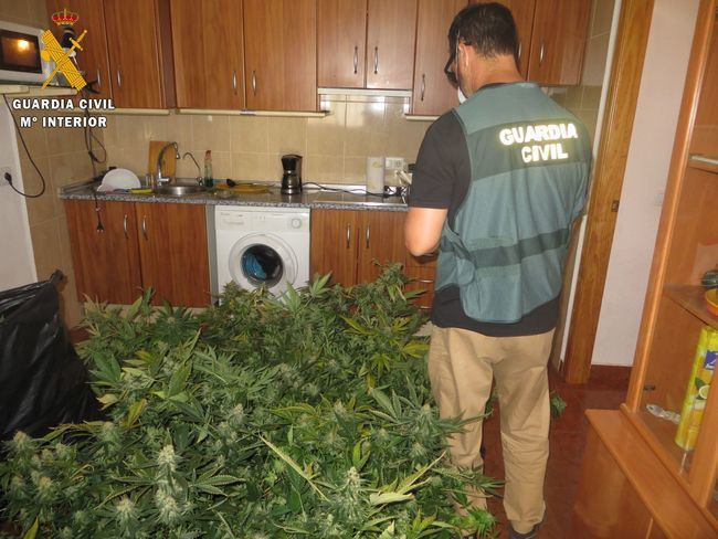 Unos encapuchados le asaltan en su plantación de marihuana y acaba detenido