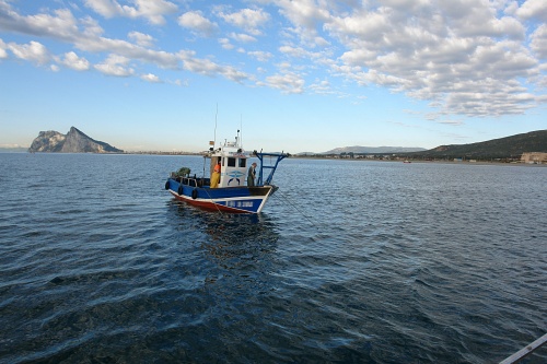 La Junta ajusta las campañas de pesca a los períodos entre vedas