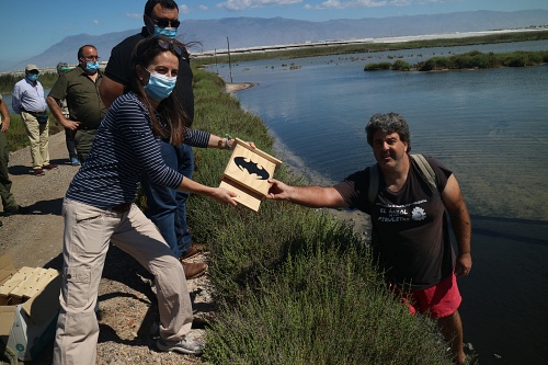 La Junta celebra en Almería el Día del Medio Ambiente en Punta Entinas Sabinar