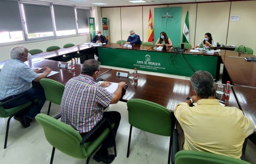 La Junta trabaja con los productores de flor cortada para ayudarles en la crisis