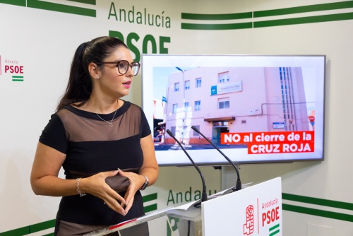 El PSOE recuerda que el Hospital de Cruz Roja aparece en el plan contra el #COVID19