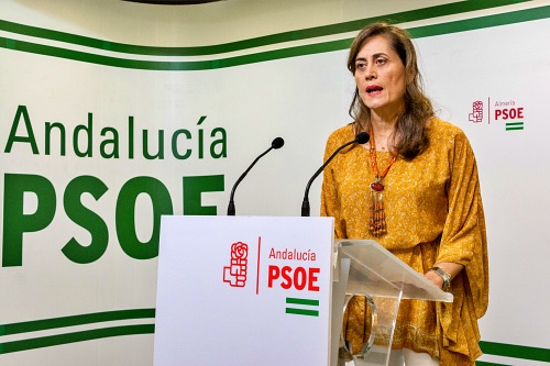 El PSOE asegura que hay 'abuso laboral' con los interinos en la Diputación