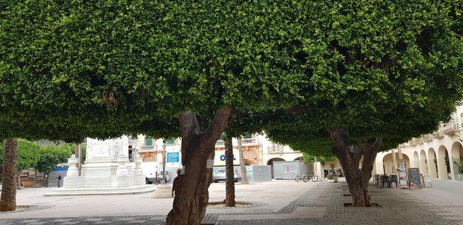 El PSOE de la capital apoya la concentración en defensa de la Plaza Vieja