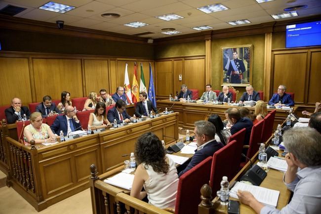 El Pleno de la Diputación aprueba el Plan Savia para mejorar la calidad ambiental de los 103 municipios