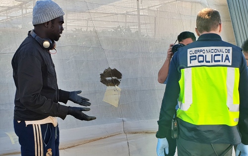 11 detenidos en Níjar por alquilar permisos de trabajo