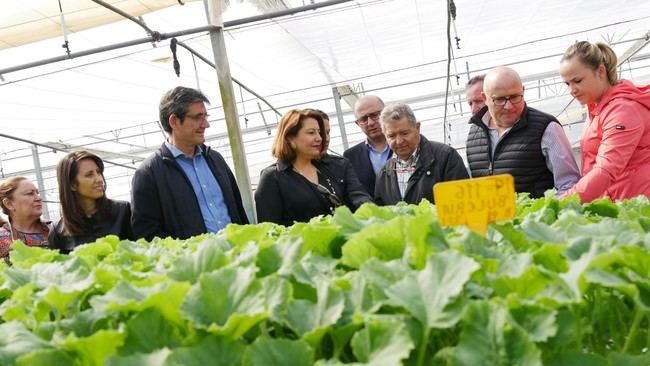 Cortés destaca que el trabajo por la agricultura se intensifica con el nuevo Gobierno de la Junta