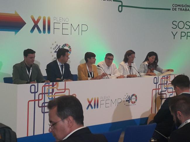 El presidente de Diputación defiende estrategias de sostenibilidad de los municipios en el Pleno de la FEMP