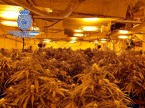 Policía Nacional desarticula una nueva plantación indoor de marihuana en El Ejido