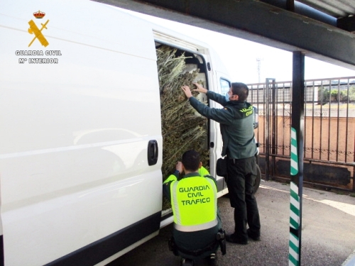 Detenido cuando transportaba 500 kilogramos de marihuana por la A-7