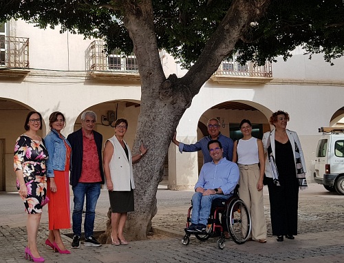 Revés a la retirada de árboles de la Plaza Vieja