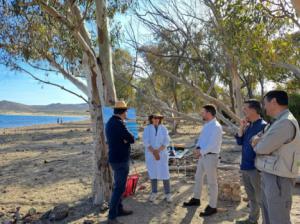 Descubre el taller de pintura más inspirador en la playa de los Genoveses