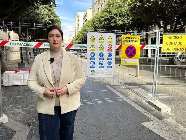 PSOE solicita reunión urgente del Consejo de Comercio para discutir ayudas por obras en Paseo de Almería