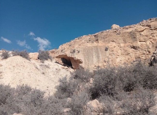 PACMA advierte sobre el riesgo de colapso medioambiental en Almerí