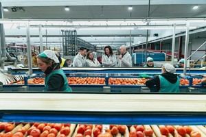 Almería destaca en Berlín en la feria 'Fruit Logistica' para impulsar su agroindustria